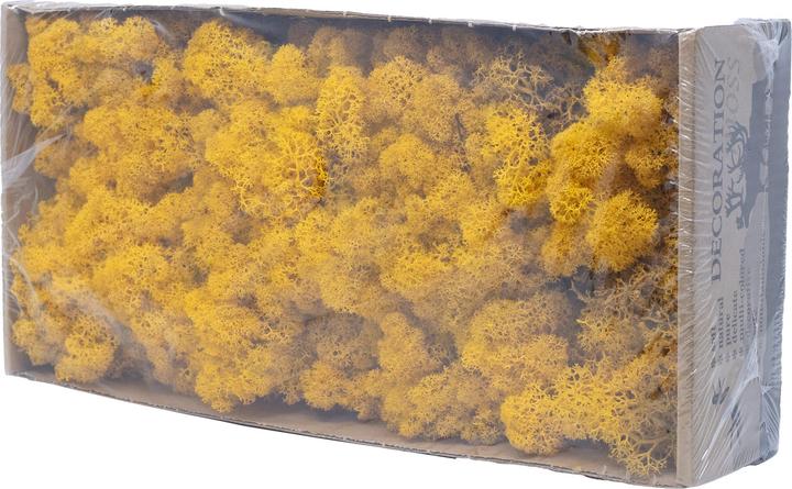 Produktbild Flowerbox Islandmoos