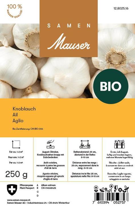 Samen Mauser Bio Knoblauch (Blumenzwiebel)