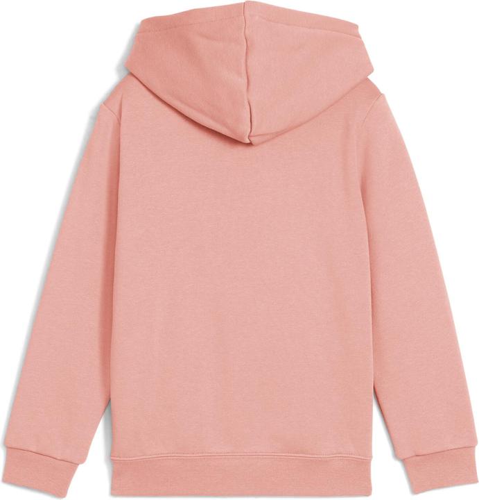 Produktbild Puma ESS No. 1 Logo Hoodie FL PS (116)