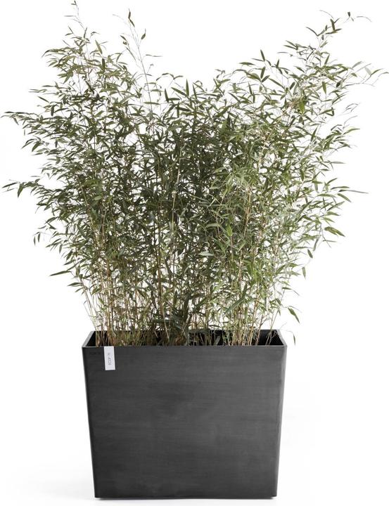 Produktbild Ecopots Paris Wheels (40 cm)