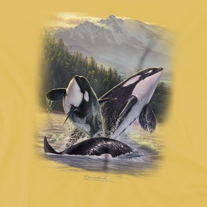 Produktbild Wildlife Breaching Orcas TShirt (M)