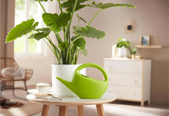 Immagine prodotto Scheurich Smilla (1.60 l)