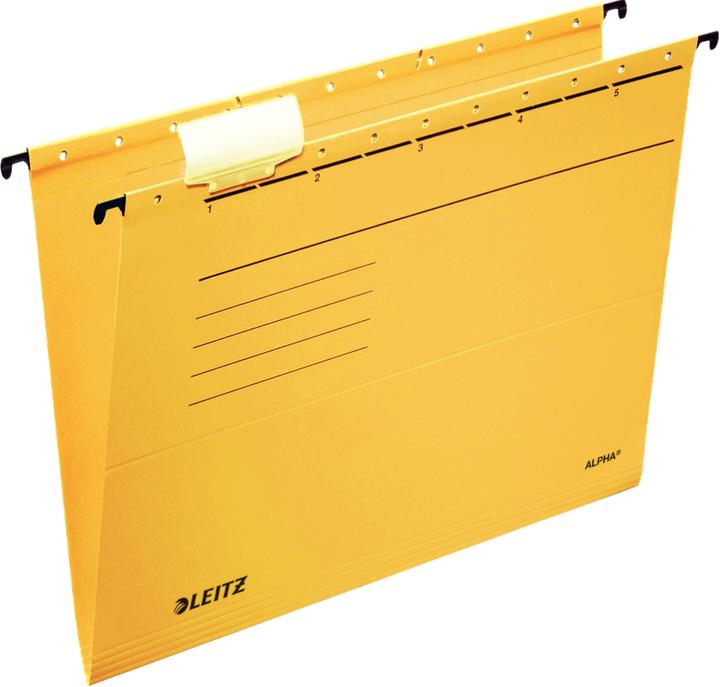 Actual product image Leitz Suspension file Alpha (A4, 5 x)