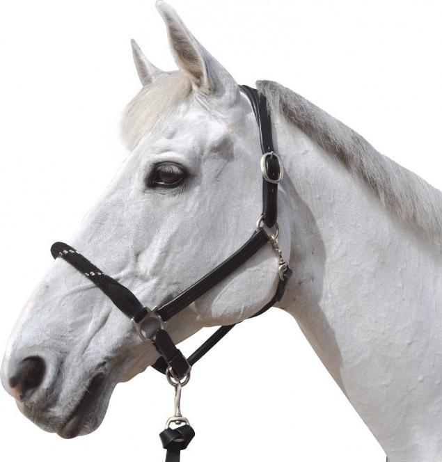 Produktbild Canter strickhalfter für pferde