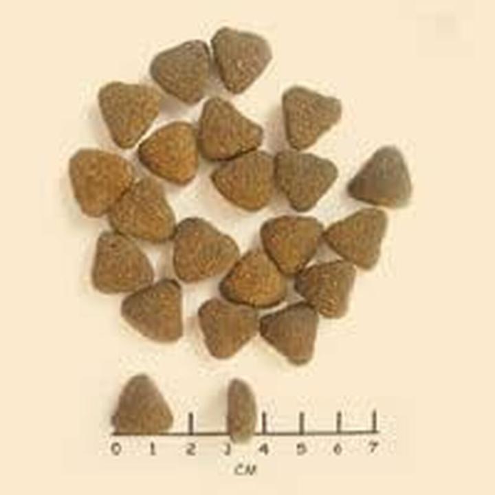 Image du produit Wolfsblut Wide Plain (Adulte, 1 pcs, 12500 g)