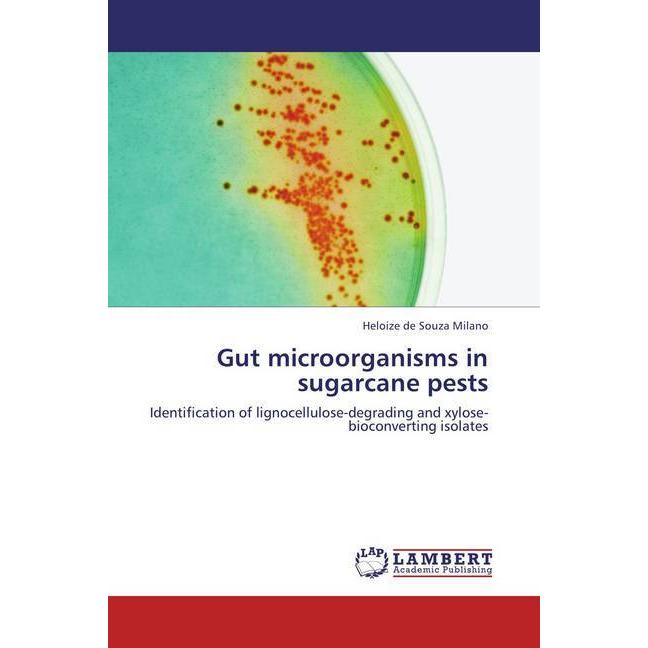Gut microorganisms in sugarcane pests, Fachbücher von Heloize de Souza Milano