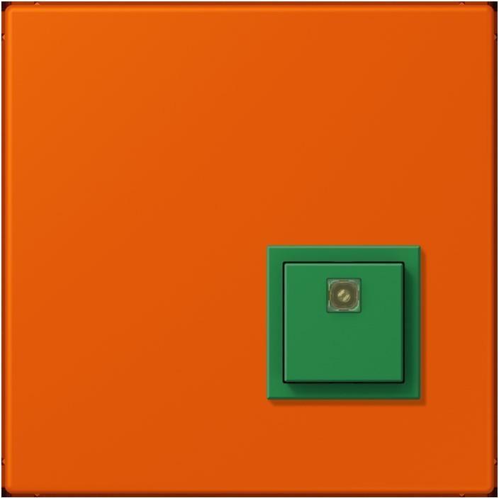 Actual product image JUNG Switch-off button