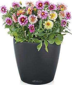 Produktbild Lechuza Classico Color 60 (60 x 55.50 cm)