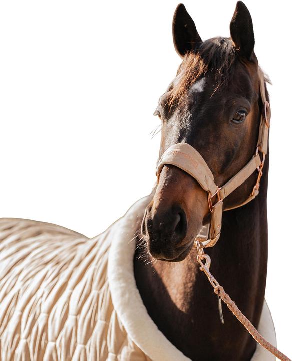 Image du produit Horka Ensemble licol et longe pour cheval en velours