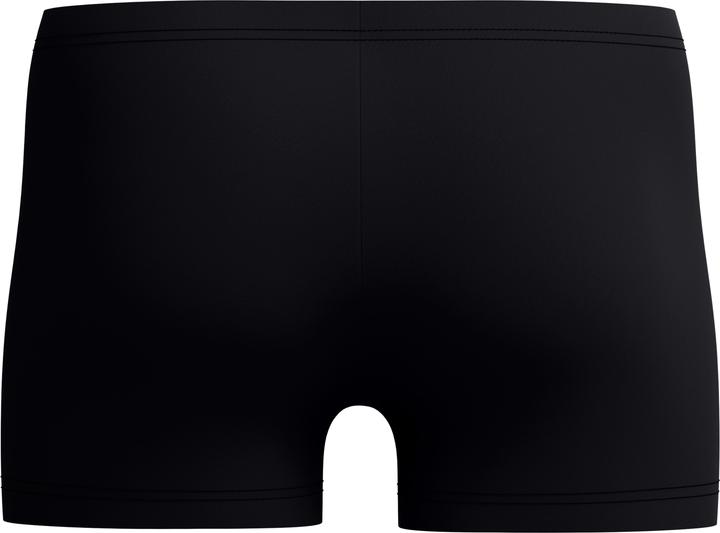 Image du produit Speedo Medley Logo Aquashort (32)