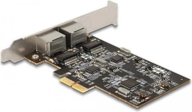 Immagine prodotto Delock Scheda PCI Express x2 a 2 x 2,5 Gigabit LAN i225 (Mini PCI Express)