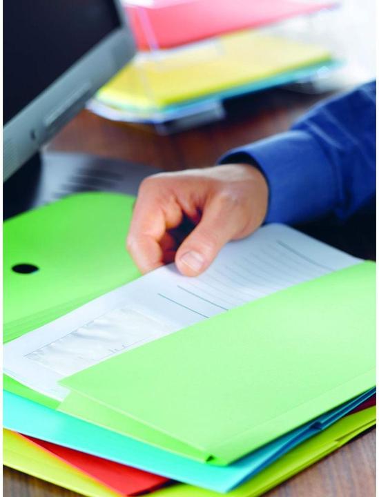 Image du produit Elco Dossiers de documents Ordo Forte (320 x 245 mm, 25x)