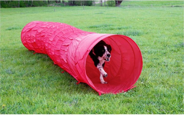 Image du produit Kerbl Tunnel pour chiens