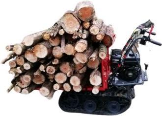 Image du produit GeoTech Transporteur sur chenilles300 kg