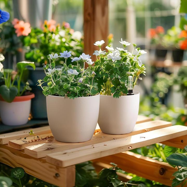 Produktbild T4U Selbstwässernder Blumentopf