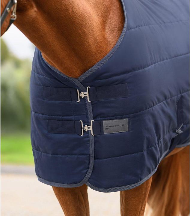 Produktbild Waldhausen Economic 100g (165 cm)