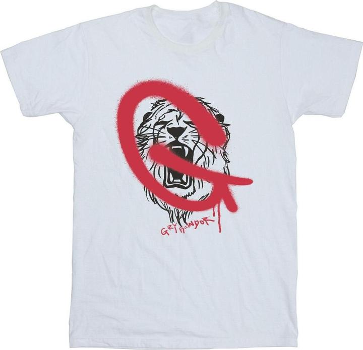 Produktbild Gryffindor Pop Spray TShirt Jungen (104)
