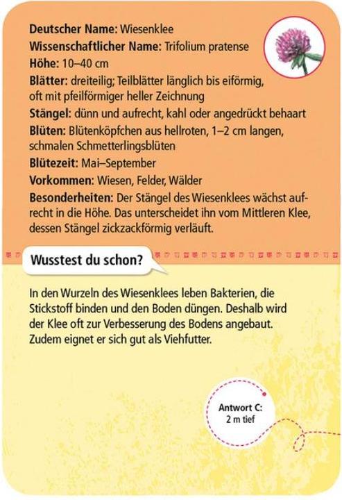 Produktbild 50 heimische Blumen (Deutsch, 1 - 20 Spieler)