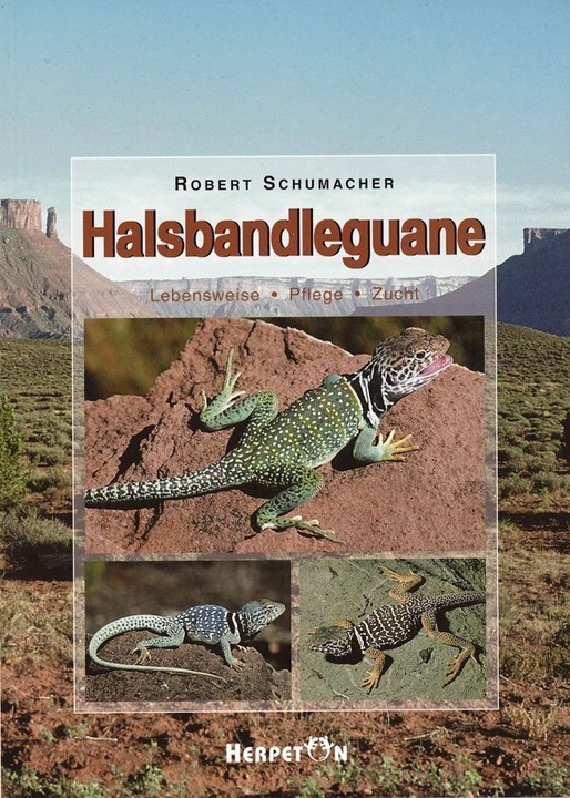 Produktbild Halsbandleguane