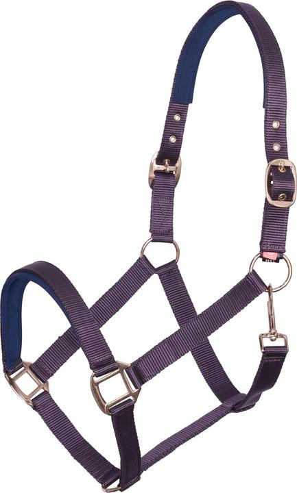 Imperial Riding Classic Sport