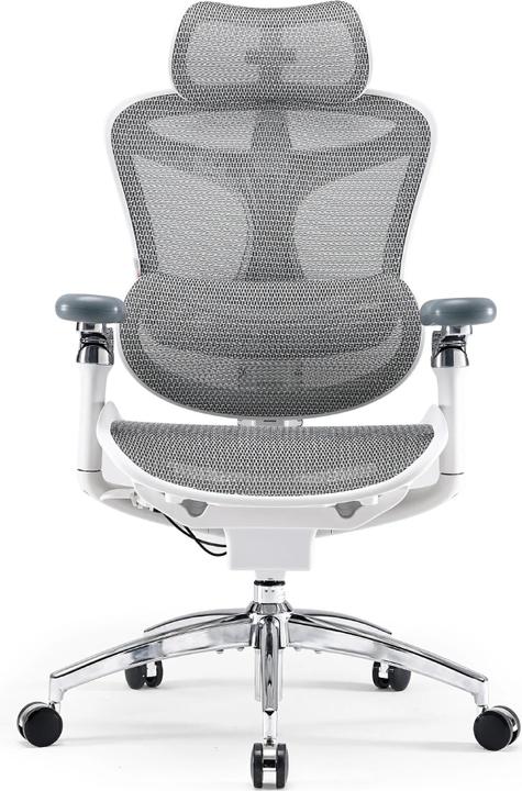 Actual product image Sihoo C300 PRO