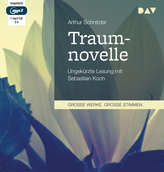 Immagine prodotto Emendamento del sogno (Arthur Schnitzler, Tedesco)