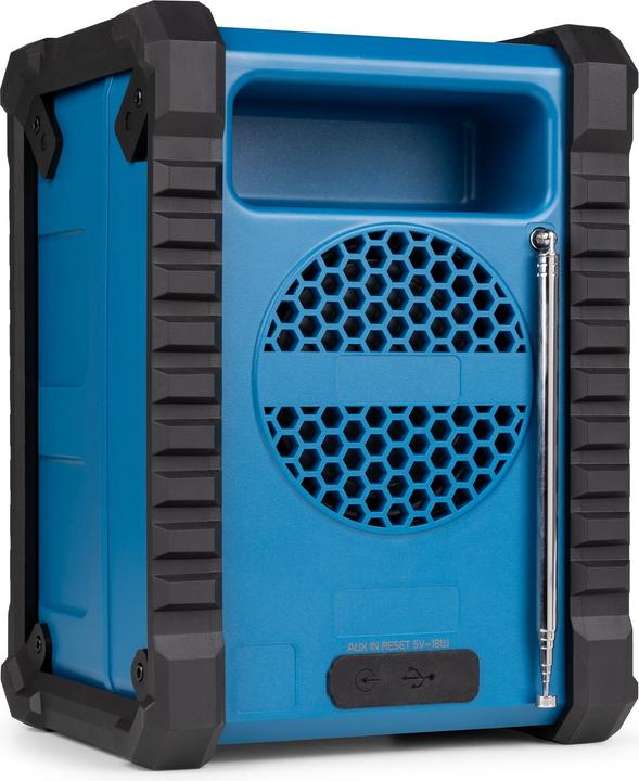 Produktbild Audizio Temi (DAB+, FM, Bluetooth)