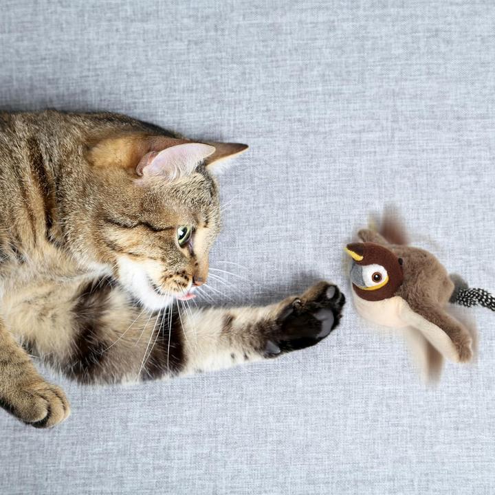 Immagine prodotto Suba Giocattolo elettrico per uccelli (Catmint giocattolo)