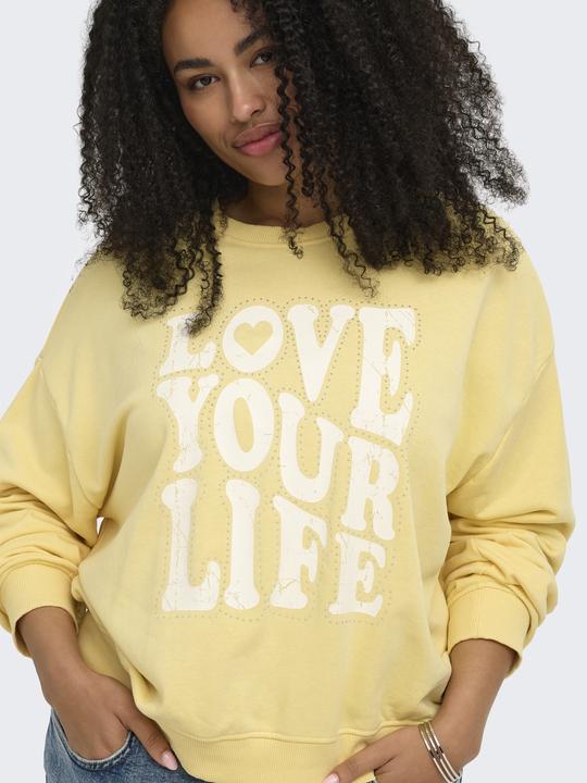 Produktbild Only CARSANDY Sweatshirt Sweatshirt (46, 48, M)