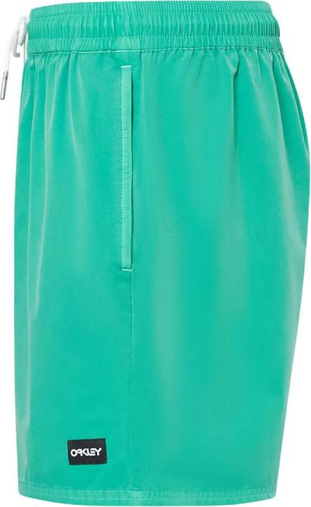 Actual product image Oakley Robinson RC 16" Beach Shorts (S)