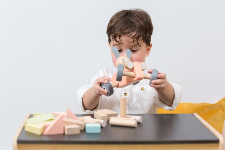 Actual product image Plantoys 40 wooden blocks pastel