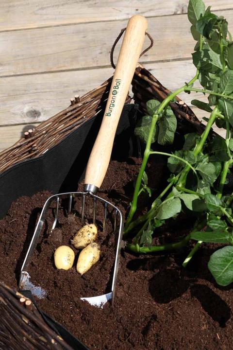 Image du produit Colibri Pelle à pommes de terre