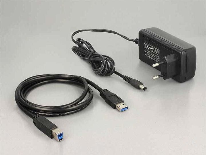 Actual product image Delock Dual Dockingstation