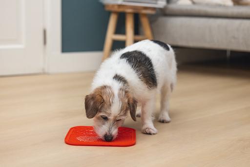 Image du produit Karlie Tapis à lécher Ava (Sac à friandises pour chien)