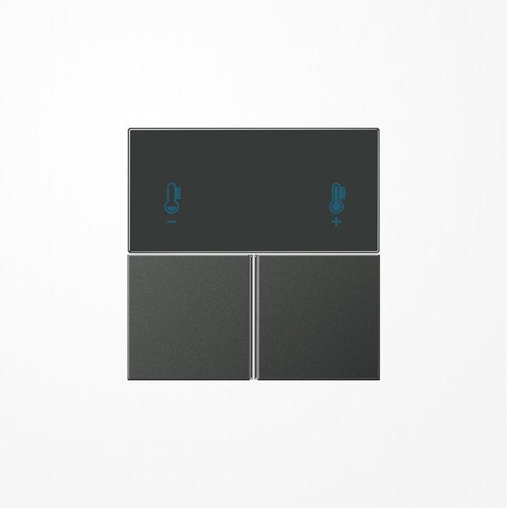 Actual product image JUNG Button 3t Switch LS anth mt f.Bus system AL4093TSAAN