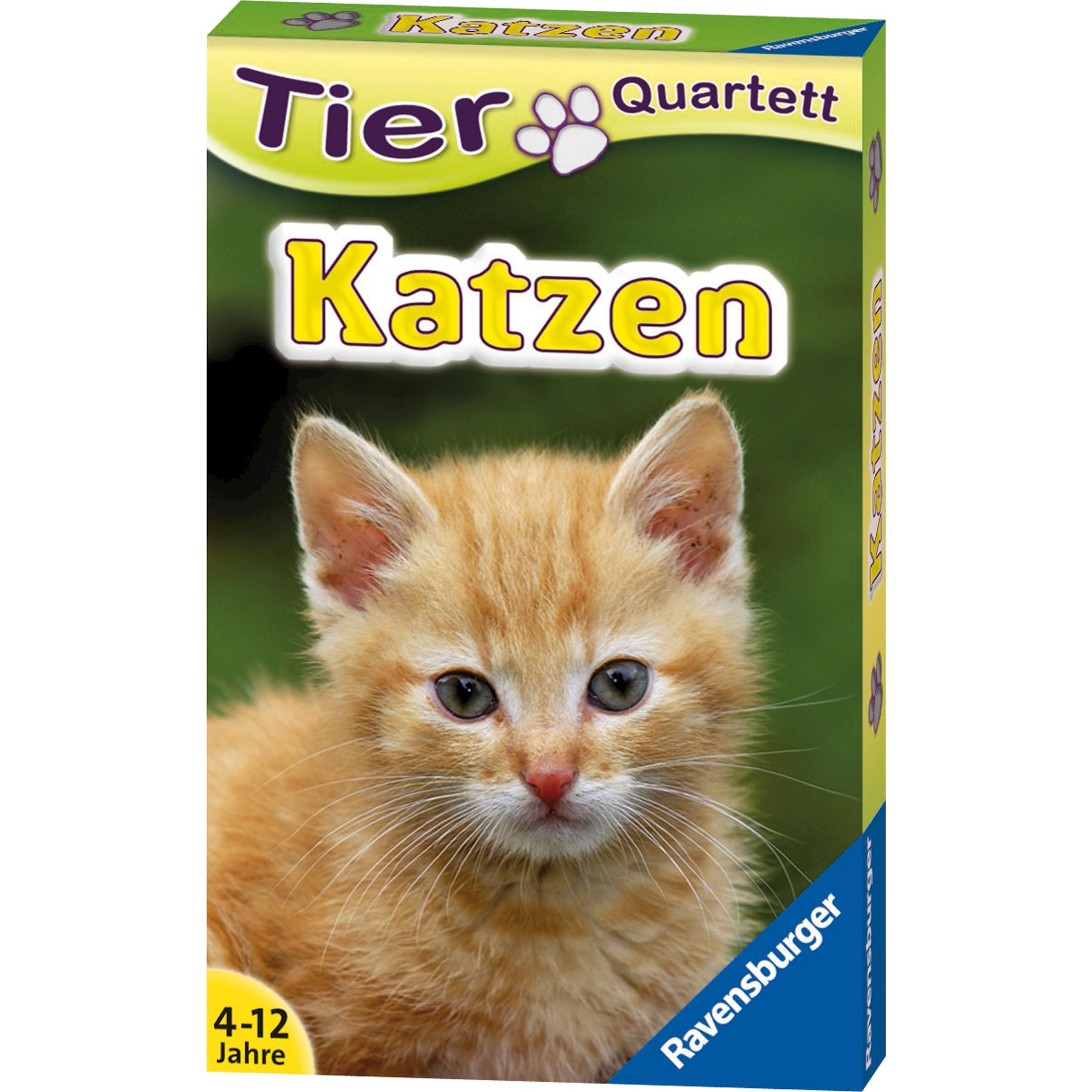 Ravensburger Katzen (Deutsch)