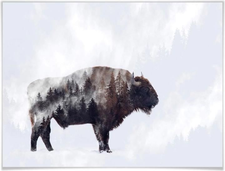 Produktbild Trenddeko Der Bison (80 x 60 cm)