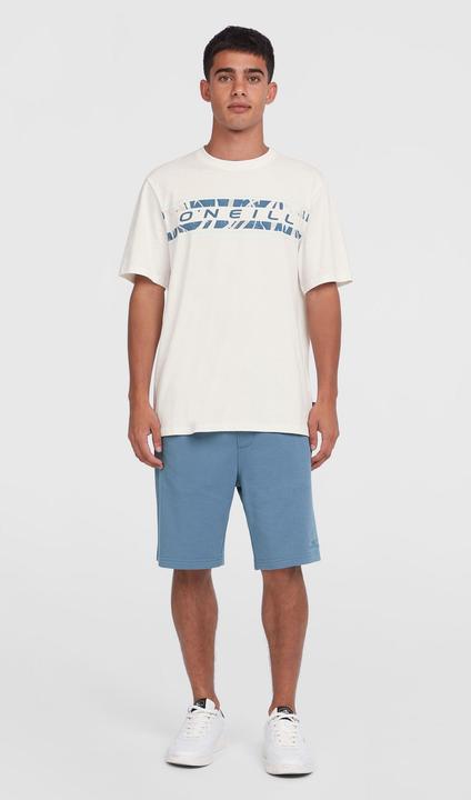 Immagine prodotto O'Neill Maglietta grafica frontale (M)