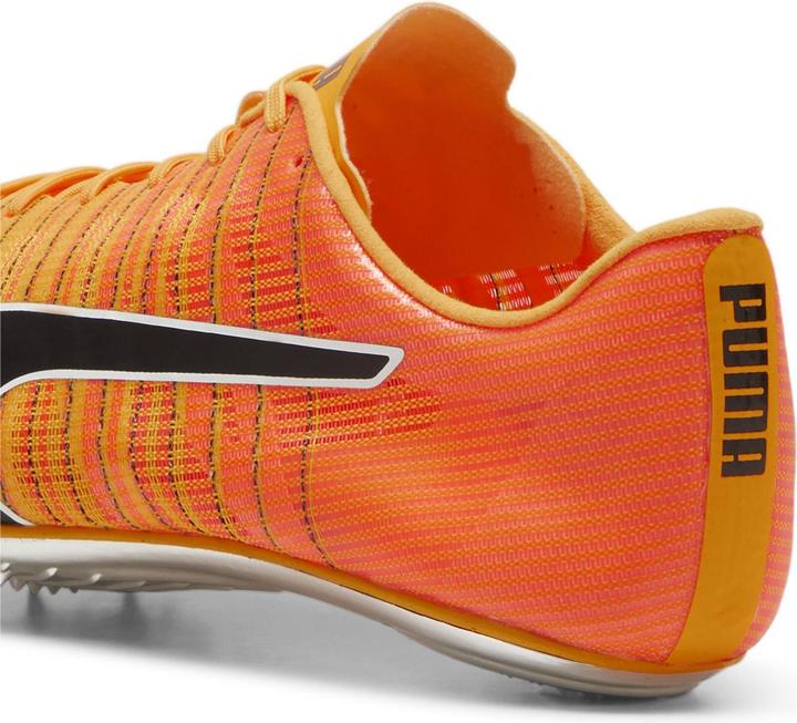 Actual product image Puma evoSPEED BRUSH 6 (40.5)