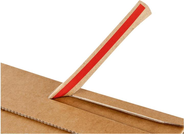 Actual product image Colompac shipping carton (305 x 212 x 110 mm, 20 x)