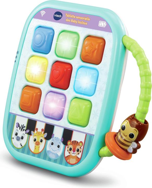 Produktbild VTech Tablette sensorielle des Baby loulous -FR- (Französisch)