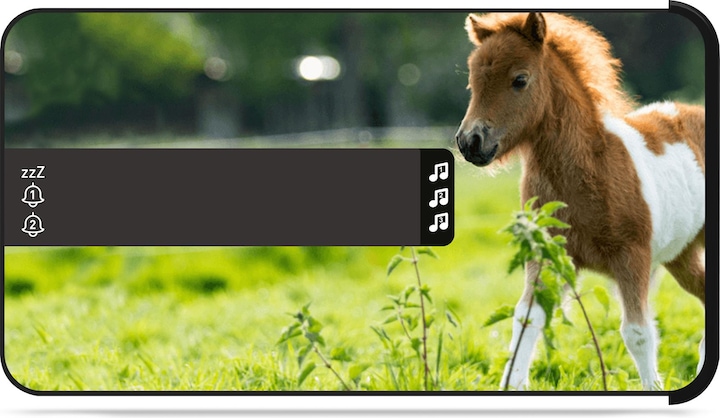 Productafbeelding Bigben Dubbele wekker R16 - Paarden