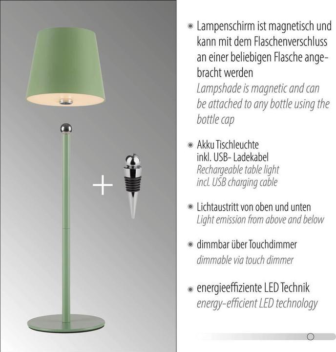 Actual product image Just Light LED bottle light (220 lm)