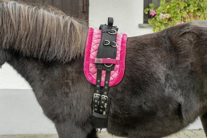 Image du produit Usg Mini shetty sangle de longe