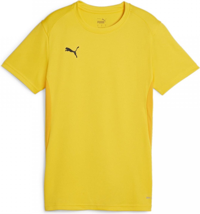 Actual product image Puma teamGOAL Jersey Wmn (XS)