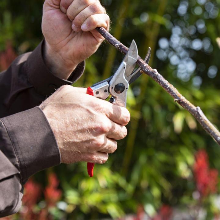 Actual product image Felco Gartenscheren-Set mit Gürteletui