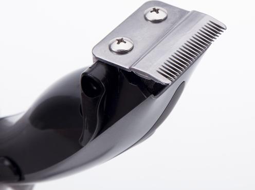 Actual product image Jata MP423