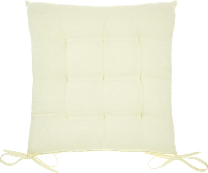 Image du produit Lipo Coussin de siège (40 x 40 cm)