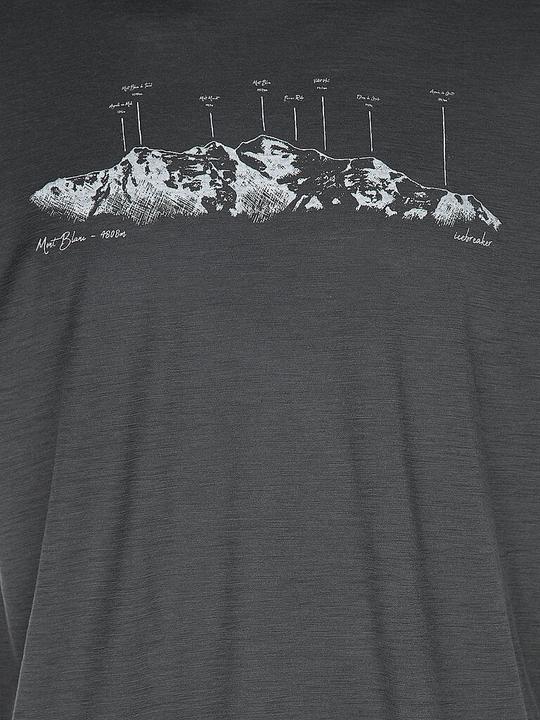 Actual product image Icebreaker Massif Trail Tech (L)