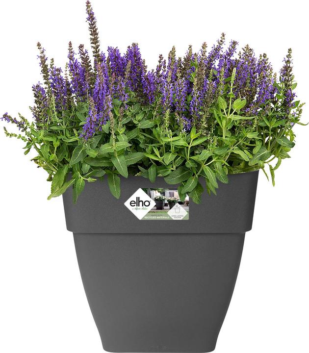 Produktbild Elho Blumentopf (30 x 28.80 x 28.80 cm)